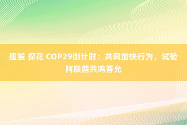 瘦猴 探花 COP29倒计时：共同加快行为，试验阿联酋共鸣答允