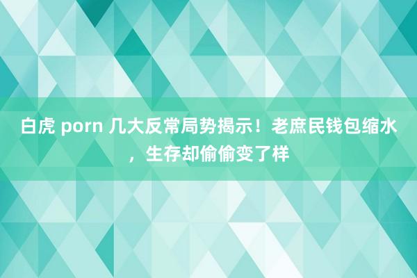 白虎 porn 几大反常局势揭示！老庶民钱包缩水，生存却偷偷变了样
