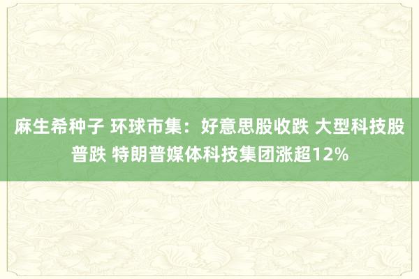 麻生希种子 环球市集：好意思股收跌 大型科技股普跌 特朗普媒体科技集团涨超12%