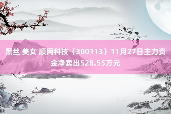 黑丝 美女 顺网科技（300113）11月27日主力资金净卖出528.55万元