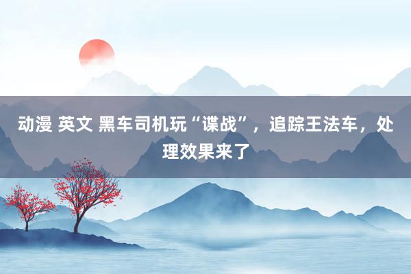 动漫 英文 黑车司机玩“谍战”，追踪王法车，处理效果来了