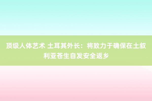 顶级人体艺术 土耳其外长：将致力于确保在土叙利亚苍生自发安全返乡