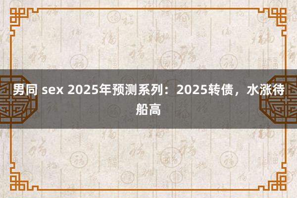 男同 sex 2025年预测系列：2025转债，水涨待船高