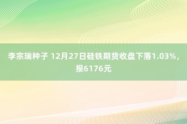 李宗瑞种子 12月27日硅铁期货收盘下落1.03%，报6176元