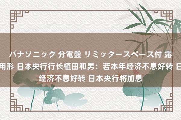 パナソニック 分電盤 リミッタースペース付 露出・半埋込両用形 日本央行行长植田和男：若本年经济不息好转 日本央行将加息