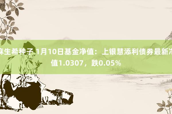 麻生希种子 1月10日基金净值：上银慧添利债券最新净值1.0307，跌0.05%