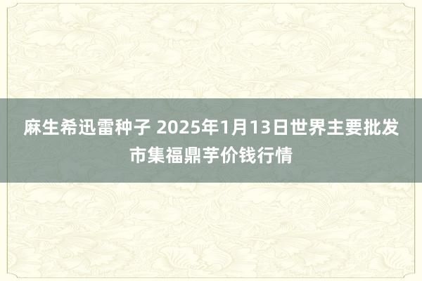 麻生希迅雷种子 2025年1月13日世界主要批发市集福鼎芋价钱行情