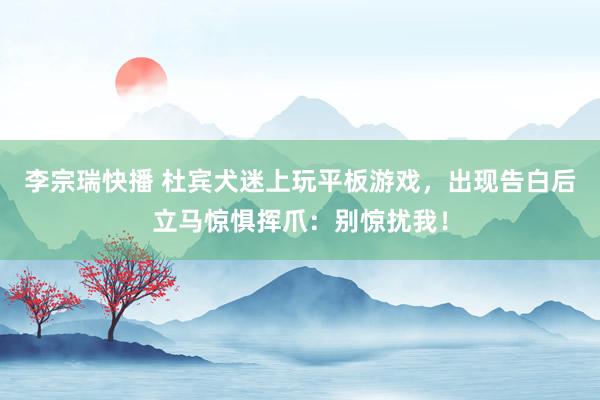 李宗瑞快播 杜宾犬迷上玩平板游戏，出现告白后立马惊惧挥爪：别惊扰我！