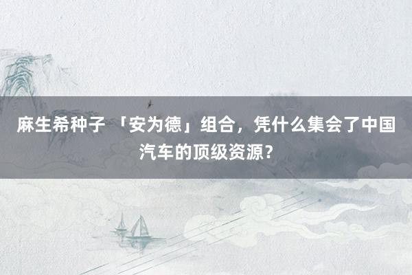 麻生希种子 「安为德」组合，凭什么集会了中国汽车的顶级资源？