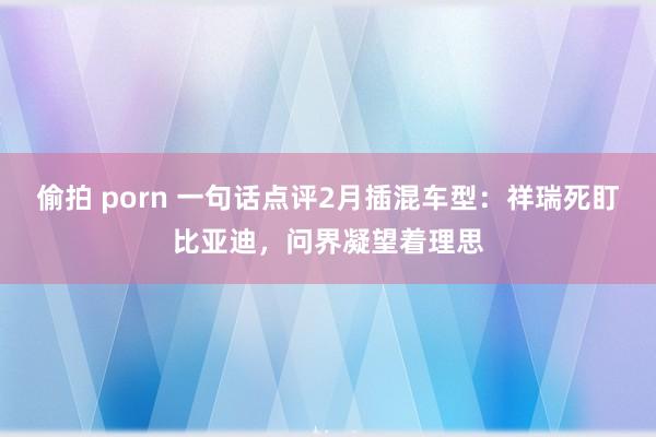 偷拍 porn 一句话点评2月插混车型：祥瑞死盯比亚迪，问界凝望着理思