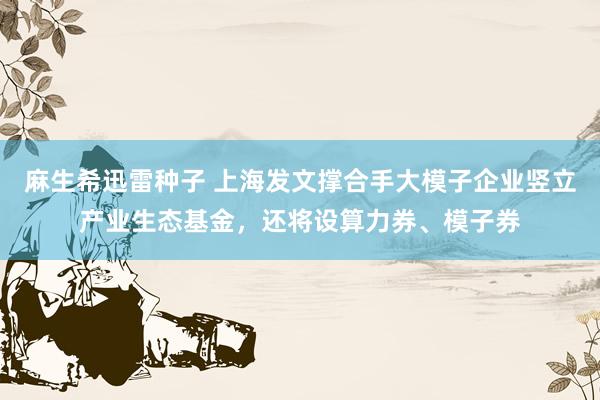 麻生希迅雷种子 上海发文撑合手大模子企业竖立产业生态基金，还将设算力券、模子券