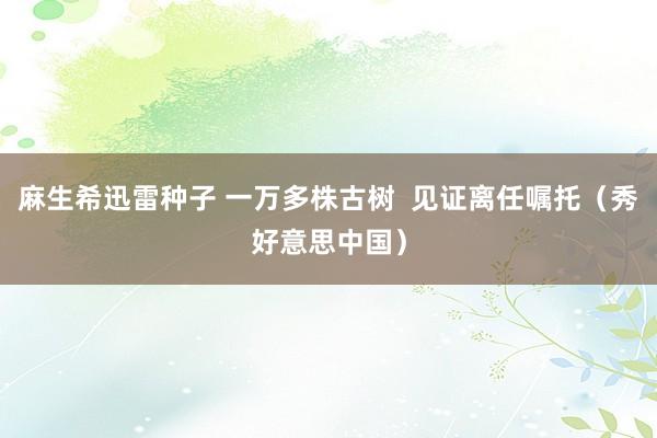 麻生希迅雷种子 一万多株古树  见证离任嘱托（秀好意思中国）
