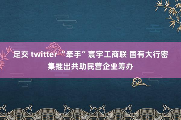 足交 twitter “牵手”寰宇工商联 国有大行密集推出共助民营企业筹办