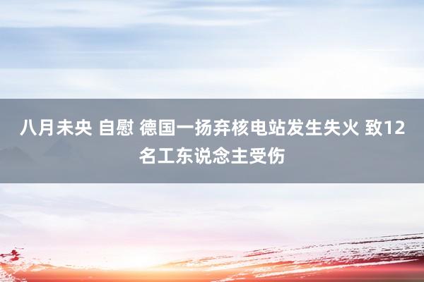 八月未央 自慰 德国一扬弃核电站发生失火 致12名工东说念主受伤