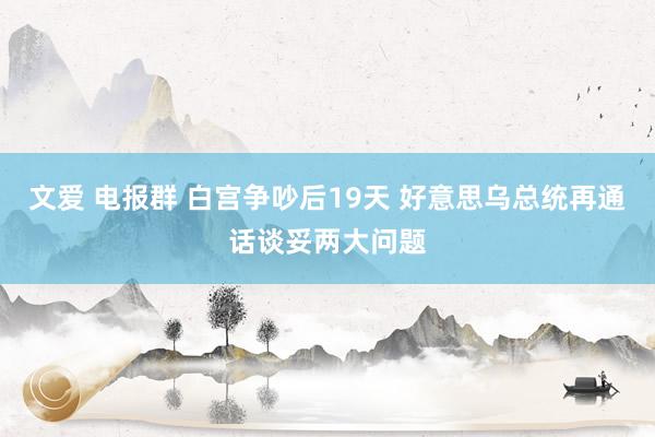 文爱 电报群 白宫争吵后19天 好意思乌总统再通话谈妥两大问题