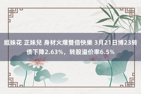 姐妹花 正妹兒 身材火爆雙倍快樂 3月21日博23转债下降2.63%，转股溢价率6.5%