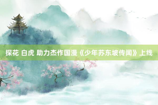 探花 白虎 助力杰作国漫《少年苏东坡传闻》上线