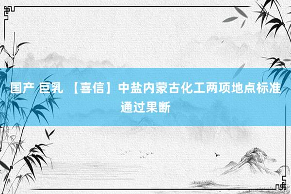 国产 巨乳 【喜信】中盐内蒙古化工两项地点标准通过果断