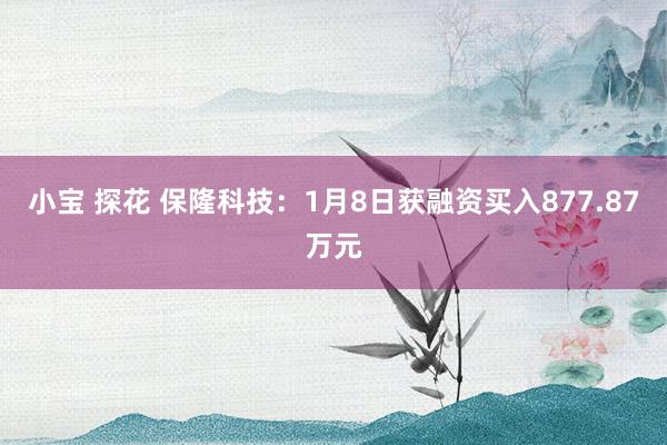 小宝 探花 保隆科技：1月8日获融资买入877.87万元