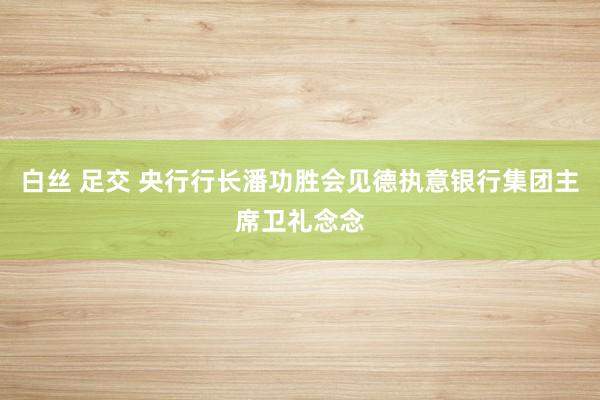 白丝 足交 央行行长潘功胜会见德执意银行集团主席卫礼念念