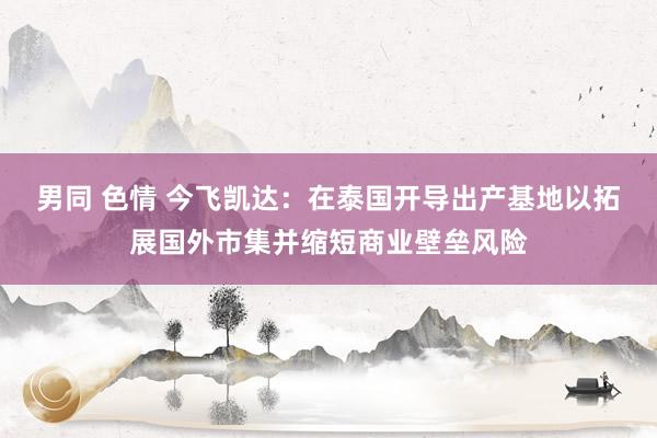 男同 色情 今飞凯达：在泰国开导出产基地以拓展国外市集并缩短商业壁垒风险