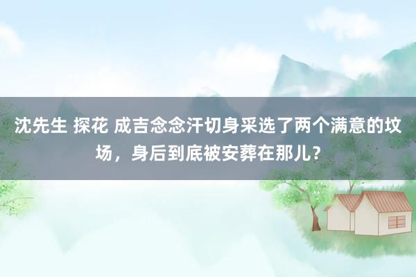 沈先生 探花 成吉念念汗切身采选了两个满意的坟场，身后到底被安葬在那儿？
