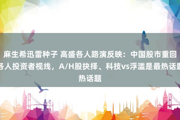 麻生希迅雷种子 高盛各人路演反映：中国股市重回各人投资者视线，A/H股抉择、科技vs浮滥是最热话题