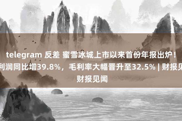 telegram 反差 蜜雪冰城上市以来首份年报出炉！净利润同比增39.8%，毛利率大幅晋升至32.5% | 财报见闻