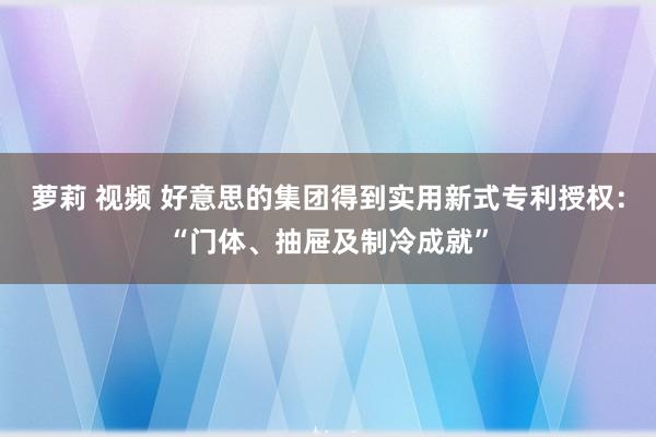 萝莉 视频 好意思的集团得到实用新式专利授权：“门体、抽屉及制冷成就”