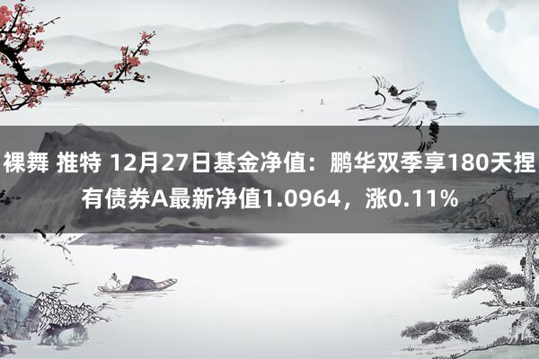 裸舞 推特 12月27日基金净值：鹏华双季享180天捏有债券A最新净值1.0964，涨0.11%