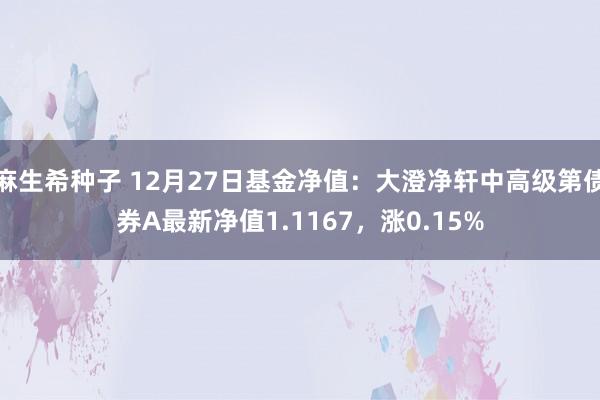 麻生希种子 12月27日基金净值：大澄净轩中高级第债券A最新净值1.1167，涨0.15%