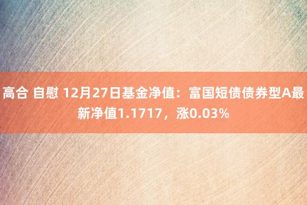 高合 自慰 12月27日基金净值：富国短债债券型A最新净值1.1717，涨0.03%