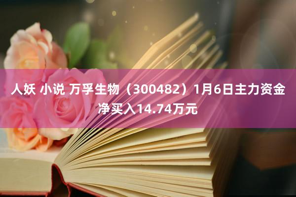 人妖 小说 万孚生物（300482）1月6日主力资金净买入14.74万元