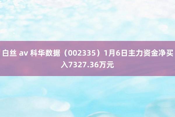 白丝 av 科华数据（002335）1月6日主力资金净买入7327.36万元
