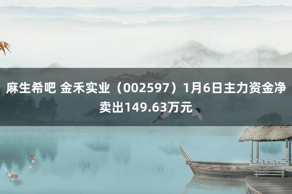 麻生希吧 金禾实业（002597）1月6日主力资金净卖出149.63万元