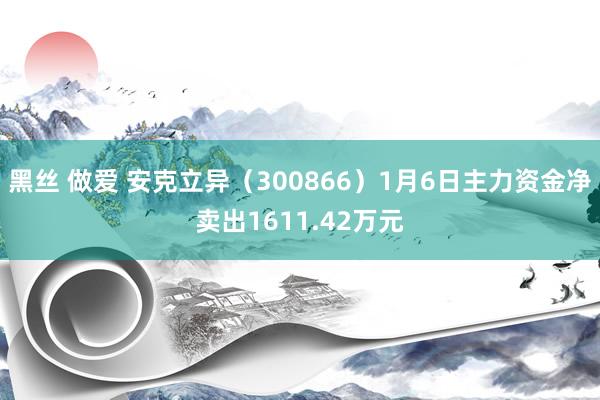 黑丝 做爱 安克立异（300866）1月6日主力资金净卖出1611.42万元