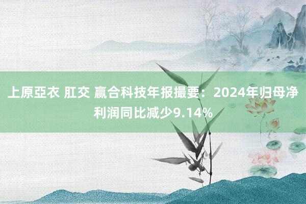 上原亞衣 肛交 赢合科技年报撮要：2024年归母净利润同比减少9.14%