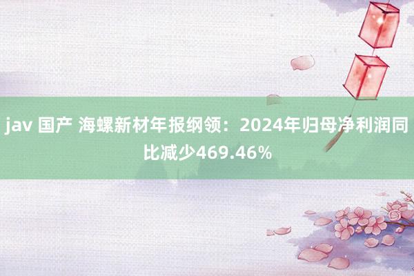 jav 国产 海螺新材年报纲领：2024年归母净利润同比减少469.46%