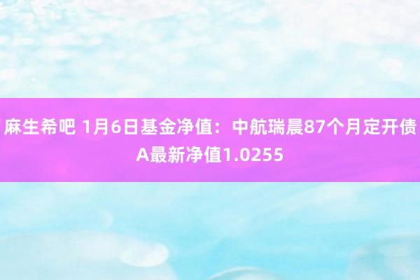 麻生希吧 1月6日基金净值：中航瑞晨87个月定开债A最新净值1.0255