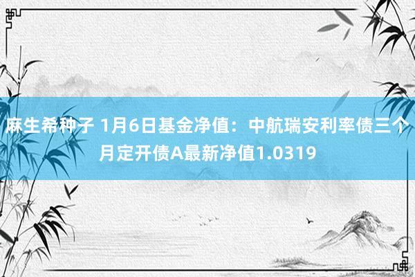 麻生希种子 1月6日基金净值：中航瑞安利率债三个月定开债A最新净值1.0319