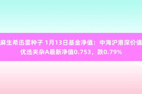 麻生希迅雷种子 1月13日基金净值：中海沪港深价值优选夹杂A最新净值0.753，跌0.79%