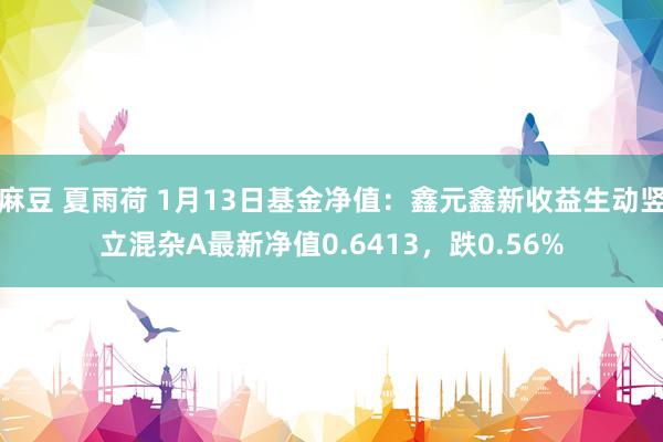麻豆 夏雨荷 1月13日基金净值：鑫元鑫新收益生动竖立混杂A最新净值0.6413，跌0.56%