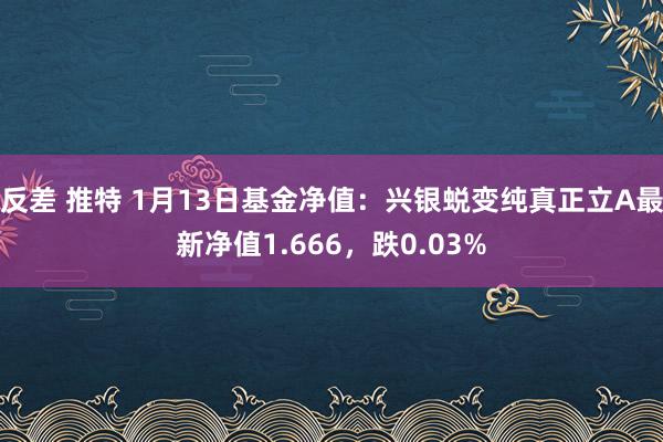反差 推特 1月13日基金净值：兴银蜕变纯真正立A最新净值1.666，跌0.03%