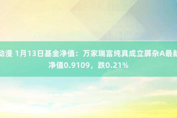 动漫 1月13日基金净值：万家瑞富纯真成立羼杂A最新净值0.9109，跌0.21%
