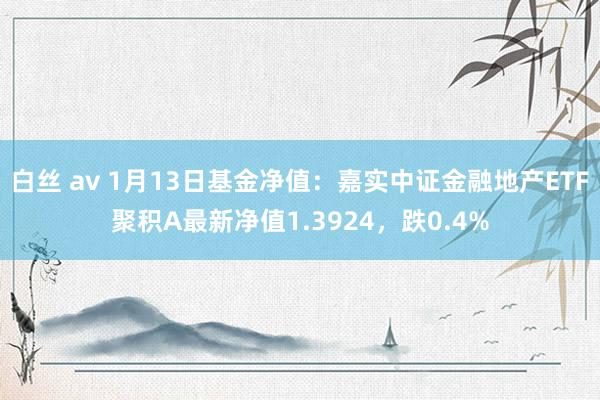 白丝 av 1月13日基金净值：嘉实中证金融地产ETF聚积A最新净值1.3924，跌0.4%