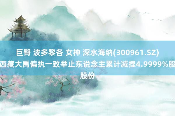 巨臀 波多黎各 女神 深水海纳(300961.SZ)：西藏大禹偏执一致举止东说念主累计减捏4.9999%股份