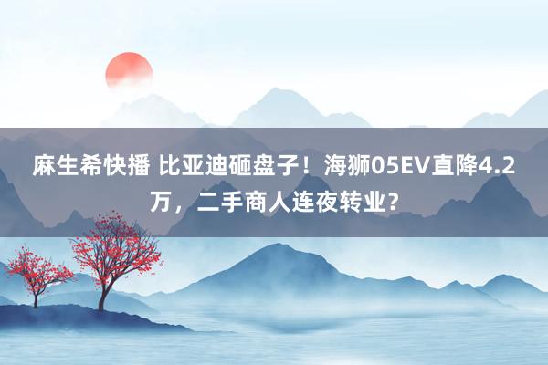 麻生希快播 比亚迪砸盘子！海狮05EV直降4.2万，二手商人连夜转业？