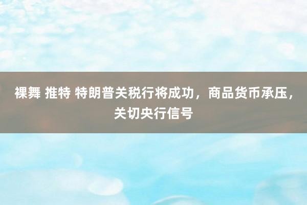 裸舞 推特 特朗普关税行将成功，商品货币承压，关切央行信号