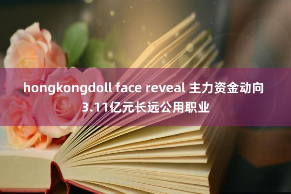 hongkongdoll face reveal 主力资金动向 3.11亿元长远公用职业