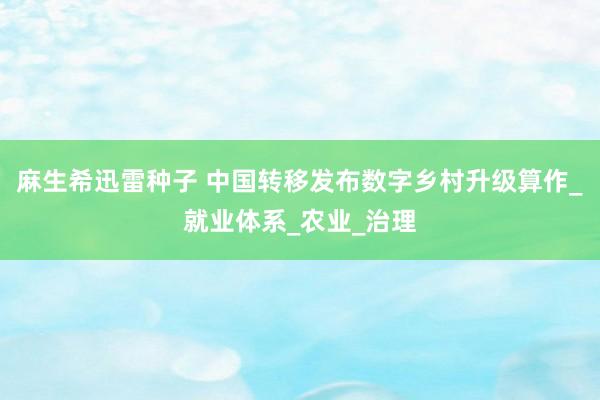 麻生希迅雷种子 中国转移发布数字乡村升级算作_就业体系_农业_治理
